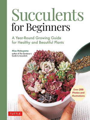 cover image of Succulents for Beginners